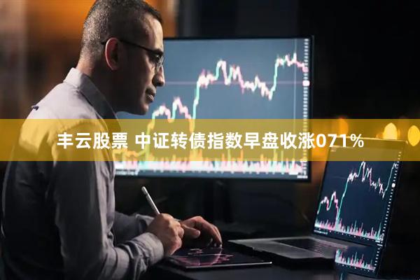 丰云股票 中证转债指数早盘收涨071%